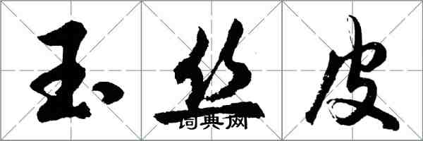 胡問遂玉絲皮行書怎么寫