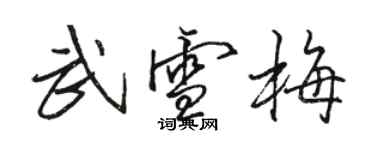 駱恆光武雪梅行書個性簽名怎么寫