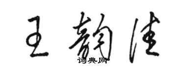 駱恆光王韻佳草書個性簽名怎么寫