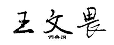 曾慶福王文畏行書個性簽名怎么寫