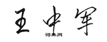 駱恆光王中軍行書個性簽名怎么寫