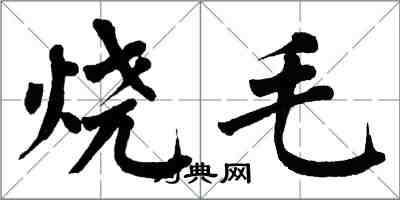 翁闓運燒毛楷書怎么寫