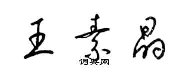 梁錦英王素晶草書個性簽名怎么寫