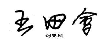 朱錫榮王田會草書個性簽名怎么寫