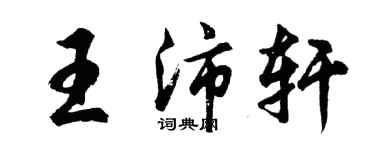 胡問遂王沛軒行書個性簽名怎么寫