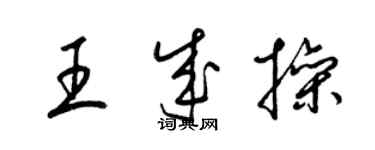 梁錦英王成操草書個性簽名怎么寫