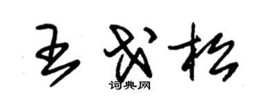 朱錫榮王戈松草書個性簽名怎么寫
