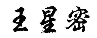 胡問遂王星密行書個性簽名怎么寫