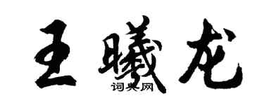 胡問遂王曦龍行書個性簽名怎么寫