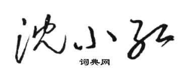 駱恆光沈小紅草書個性簽名怎么寫