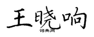 丁謙王曉響楷書個性簽名怎么寫