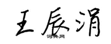 王正良王辰涓行書個性簽名怎么寫