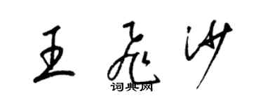 梁錦英王飛沙草書個性簽名怎么寫