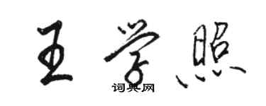 駱恆光王學照行書個性簽名怎么寫