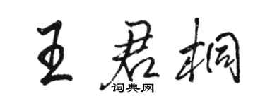 駱恆光王君桐行書個性簽名怎么寫