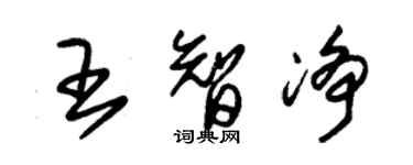 朱錫榮王智淨草書個性簽名怎么寫