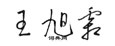 駱恆光王旭霜草書個性簽名怎么寫