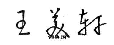 駱恆光王美軒草書個性簽名怎么寫