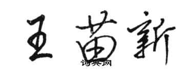 駱恆光王苗新行書個性簽名怎么寫