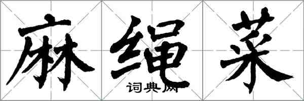 翁闓運麻繩菜楷書怎么寫