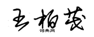 朱錫榮王柏茂草書個性簽名怎么寫