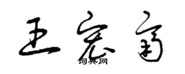 曾慶福王宏齊草書個性簽名怎么寫