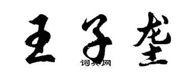 胡問遂王子壟行書個性簽名怎么寫