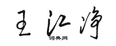 駱恆光王江淨草書個性簽名怎么寫