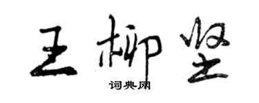 曾慶福王柳堅行書個性簽名怎么寫