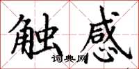 丁謙觸感楷書怎么寫