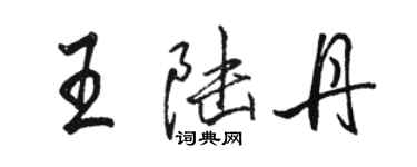 駱恆光王陸丹行書個性簽名怎么寫