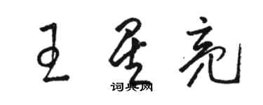 駱恆光王星亮草書個性簽名怎么寫