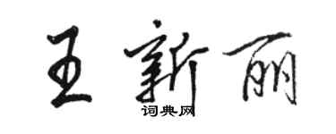 駱恆光王新麗行書個性簽名怎么寫