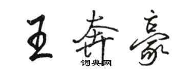 駱恆光王奔豪行書個性簽名怎么寫