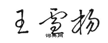 駱恆光王雪楊草書個性簽名怎么寫