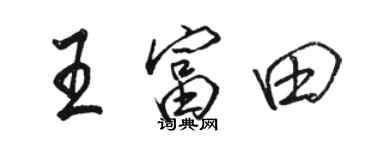 駱恆光王富田行書個性簽名怎么寫