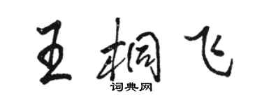 駱恆光王桐飛行書個性簽名怎么寫