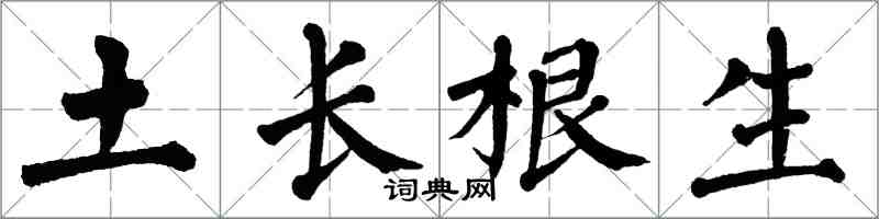 翁闓運土長根生楷書怎么寫