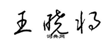 梁錦英王曉將草書個性簽名怎么寫