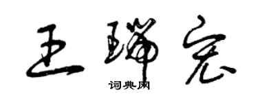 曾慶福王瑞宏草書個性簽名怎么寫