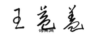 駱恆光王益蓋草書個性簽名怎么寫