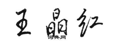 駱恆光王晶紅行書個性簽名怎么寫
