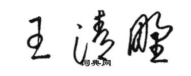 駱恆光王清野草書個性簽名怎么寫