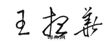 駱恆光王想華草書個性簽名怎么寫