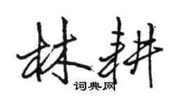 駱恆光林耕行書個性簽名怎么寫