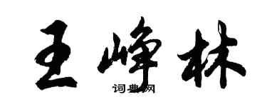 胡問遂王崢林行書個性簽名怎么寫