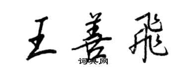 王正良王善飛行書個性簽名怎么寫