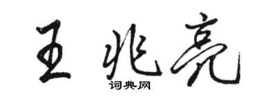 駱恆光王兆亮行書個性簽名怎么寫