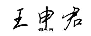 王正良王申君行書個性簽名怎么寫