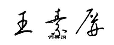 梁錦英王素屏草書個性簽名怎么寫